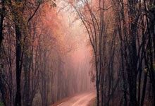 晋能股票行情:买股票加杠杆是什么意思-上市券商分红热情高！22家连续两年中期分红